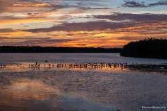 Epic sunset at Ding Darling