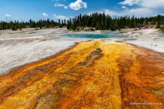 geyser-basin