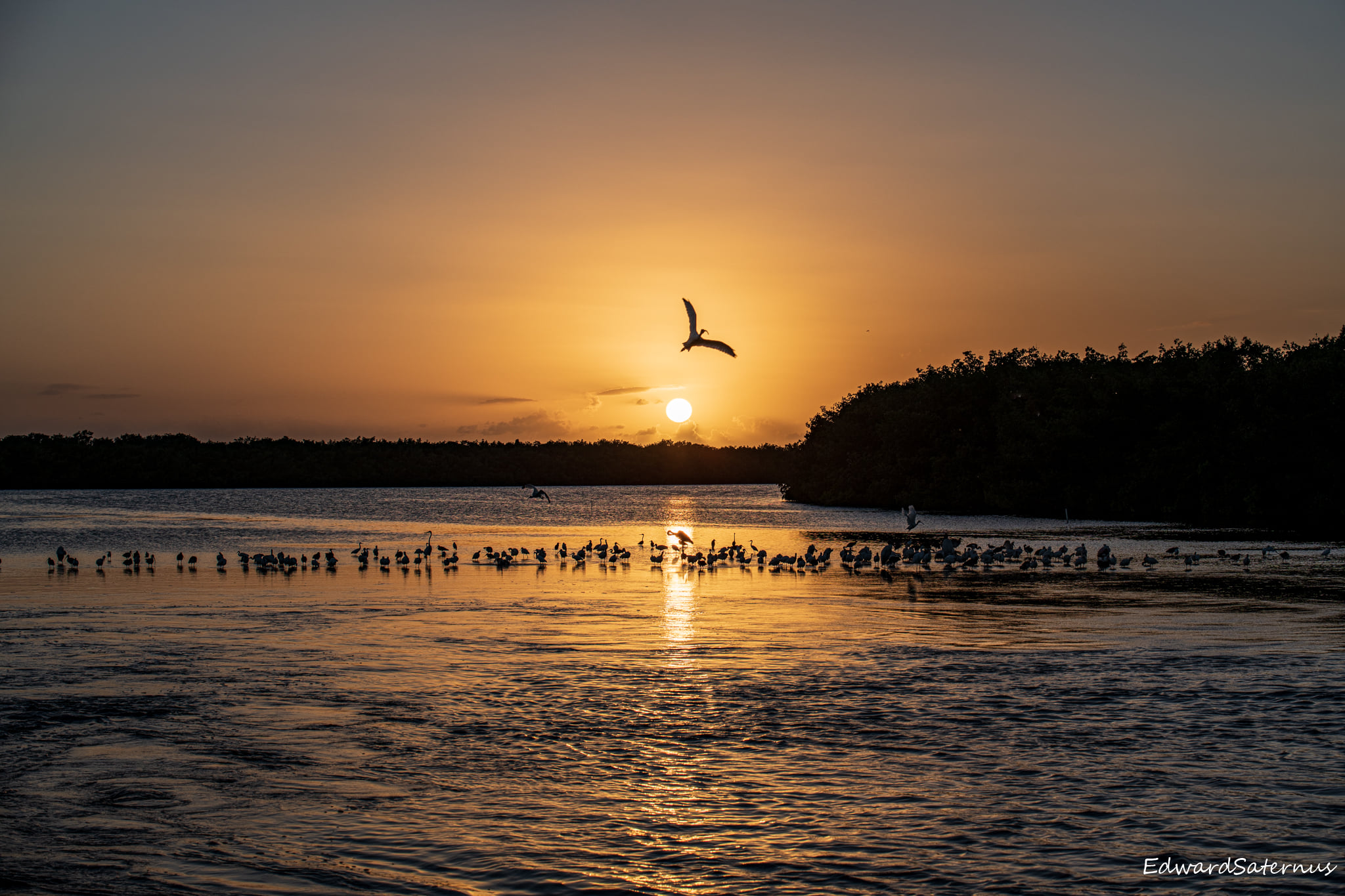 Sunset at J.N. “Ding” Darling National Wildlife Refuge